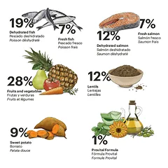 Gosbi begrūdis sausas maistas suaugusiems vidutinių veislių šunims Exclusive Grain Free Adult Fish Medium, 12 kg — 2 nuotrauka