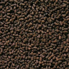 Sera Pond Sturgeon Granules maistas tvenkinio eršketams 3800 ml — 2 nuotrauka