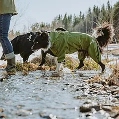 Hurtta Bare lietaus kombinezonas Pine, Vidutiniams 11–25 kg — 4 nuotrauka