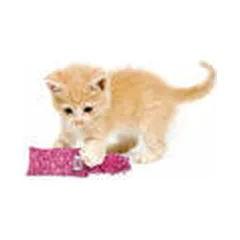 KONG Kickeroo Kitten Assorted - cat toy — 4 nuotrauka