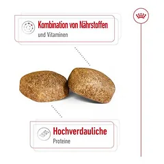 Royal Canin Giant Adult sausas maistas šunims — 5 nuotrauka