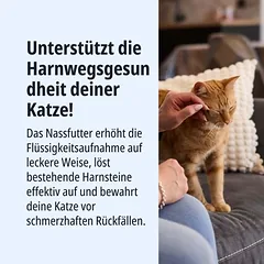 Virbac Veterinary Cat Urology Dissolution & Prevention drėgnas maistas katėms — 4 nuotrauka