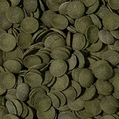 Tropical Green Algae Wafers pašaras dugninėms žuvims 1000 ml — 2 nuotrauka