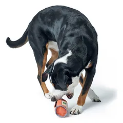 HUNTER Tough Pombas  treniruočių žaislas su skanukais šunims, 20 cm, oranžinis — 2 nuotrauka