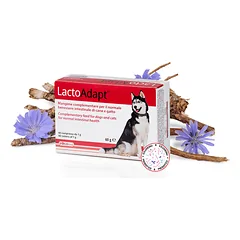 DOGOTEKA LactoAdapt 60 tabl.