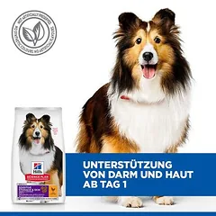 Hill's Science Plan Sensitive Stomach & Skin Adult 1+ Medium su vištiena, sausas maistas šunims — 3 nuotrauka