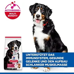 Hill's Science Plan Adult 1-5 Large su ėriena ir ryžiais, sausas maistas šunims — 4 nuotrauka