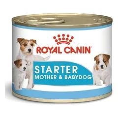 ROYAL CANIN Starter Mousse Mother&Babydog 6x195g dežutės