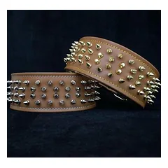 Bestia Hundehalsband Krone
