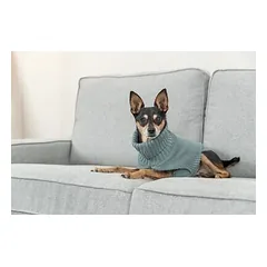 Trixie CityStyle Berlin Dog Pullover, Size S 36 cm, Sage — 3 nuotrauka
