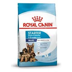 ROYAL CANIN SHN Dog Maxi Starter Mother&Babydog sausas maistas kalėms ir jų šuniukams 15 kg