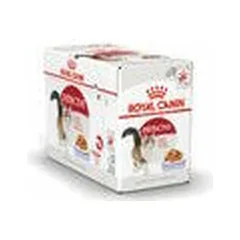 Royal Canin FHN Instinctive drebučiuose, drėgnas maistas katėms 12 x 85 g — 2 nuotrauka