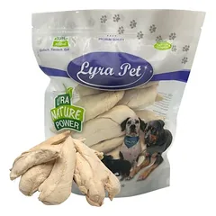 Lyra Pet® liofilizuota vištienos krūtinėlė — 4 nuotrauka