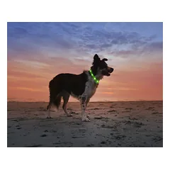 TRIXIE LED ĮKRAUNAMAS ŠVIEČIANTIS antkaklis USB, silikonas, XS-XL 70cm/10mm, žalias, 1 vnt. — 2 nuotrauka