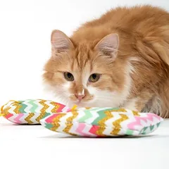 TIAKI Katzenminze-Kissen Zig Zag