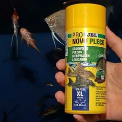 JBL ProNovo Pleco Wafer M, maistas žuvims, Ekonominė pakuotė: 2 x 250 ml — 5 nuotrauka