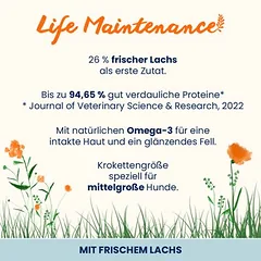 Almo Nature Life Maintenance Adult su lašiša ir ryžiais Medium, sausas maistas šunims — 2 nuotrauka