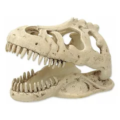 Repti Planet T-Rex Skull 13,3 x 8,5 x 9 cm