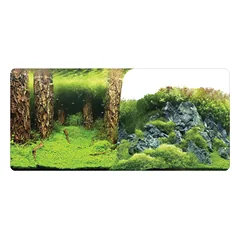 Fonas 60cm aukščio (dvipusis) 1 metras