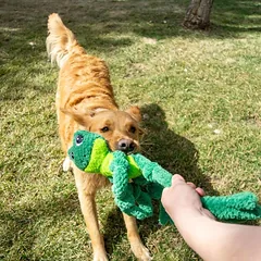 KONG Knots – tvirtas pliušinis žaislas šunims su virve 46.5cm — 2 nuotrauka