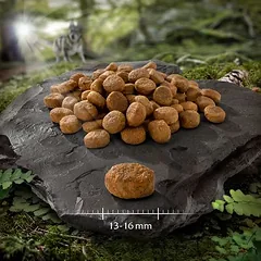 Wolf of Wilderness "Explore The Mighty Summit" Performance – begrūdis sausas maistas šunims, < 1,4 kg — 5 nuotrauka