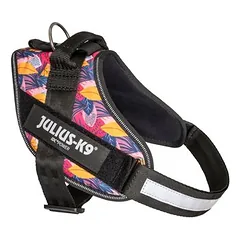 Limited Edition Julius-K9 IDC® Powerharness petnešos, Leaf 2, Labai mažiems < 4 kg — 3 nuotrauka