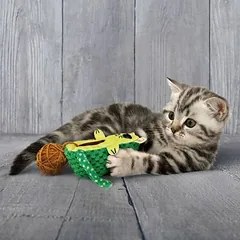 KONG Wrangler AvoCATo žaislas katėms, 1 vnt. — 3 nuotrauka