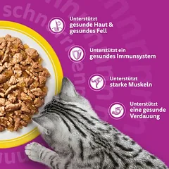 Multipack Whiskas 1+ Adult šviežumo maišeliai 12 x 85 g, drėgnas maistas katėms — 3 nuotrauka