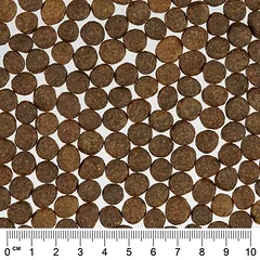Greenwoods Adult sausas maistas katėms, ekonominė pakuotė 3 x 3 kg — 5 nuotrauka