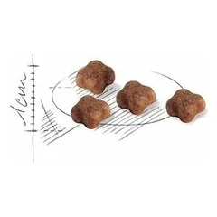 Royal Canin FHN Babycat sausas maistas kačiukams 400 g — 4 nuotrauka