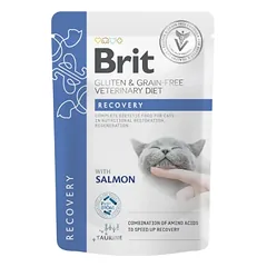 Brit GF Veterinary Diets kons. katėms maiš. Recovery 85g nuotrauka