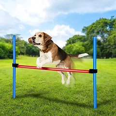 Šuns žaislas Kliūčių stulpai PET TOYS 871125247433 (85x3 cm)