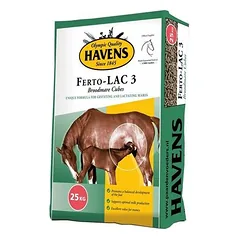 Havens Ferto-LAC 3 Stuten spez.