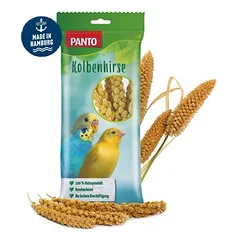 PANTO Kolbenhirse - naturbelassener für Kanarienvögel & Papageien