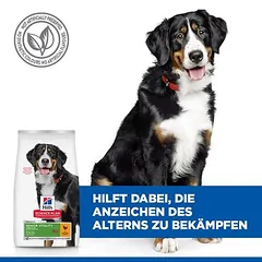 Hill's Science Plan Senior Vitality Mature Adult 6+ Large su vištiena, sausas maistas šunims — 4 nuotrauka