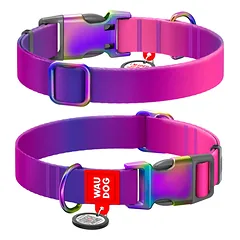 WAUDOG Nylon Recycled antkaklis šuniui su QR pasu, gradientas, violetinis