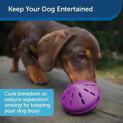 PetSafe Busy Buddy Twist'n Treat - skanėstus išduodantis kramtomasis žaislas šunims, UFO — 2 nuotrauka