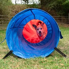 zooplus Exclusive Agility Fun & Sport pilnas rinkinys šunims, Ekonominė pakuotė su 4 atskirais elementais — 3 nuotrauka