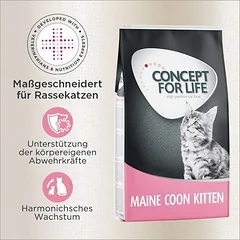 Concept for Life Maine Coon Kitten
