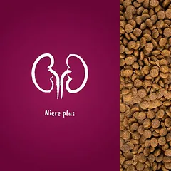 Josera Senior, sausas maistas katėms, > 10 kg — 4 nuotrauka