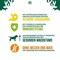 James Wellbeloved Puppy Junior Dog Hypoallergenic su ėriena ir ryžiais, sausas maistas šunims — 4 nuotrauka