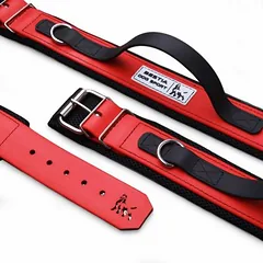 Bestia Dog Sport antkaklis šunims su rankena, Vidutiniams 11–25 kg — 2 nuotrauka