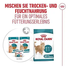 Royal Canin Ageing 11+ drebučiuose, drėgnas maistas katėms, 12 x 85 g — 5 nuotrauka