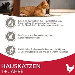 IAMS Advanced Nutrition Indoor Cat su vištiena, sausas maistas katėms, 3 - 4,9 kg — 4 nuotrauka