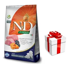 Farmina N&D Pumpkin Grain Free canine LAMB & BLUEBERRY PUPPY MEDIUM & MAXI 12kg + STAIGMENA ŠUNIUI