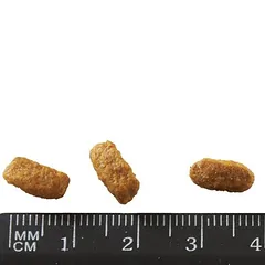 Purina ONE Sterilized su jautiena, sausas maistas katėms — 3 nuotrauka