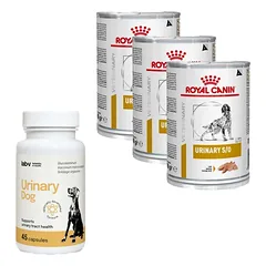 ROYAL CANIN Urinary S/O 3x410g skardinė + LAB-V Urinary Dog - Pagalba šunims sergant šlapimo takų infekcija 45 kapsulės