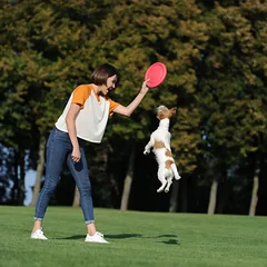 PitchDog žaislas šunims, skraidantis diskas, 24 cm skersmens, rožinis — 5 nuotrauka