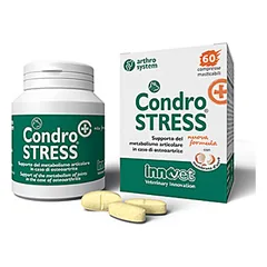 CondroStress (+) pašaro papildas šunims apsaugantis sąnarius nuo osteoartrito photo
