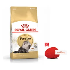 ROYAL CANIN Persian Adult 10 kg + Royal Canin kamuoliukas katėms NEMOKAMAI